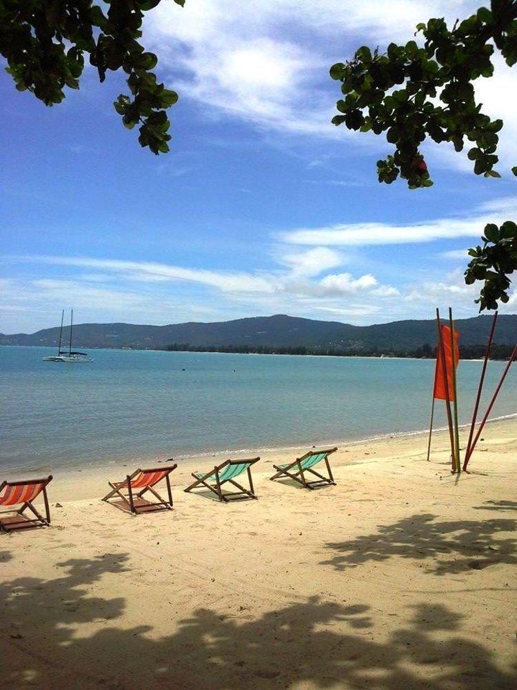 Think & Retro Cafe Lipa Noi Samui Hostel Eksteriør bilde